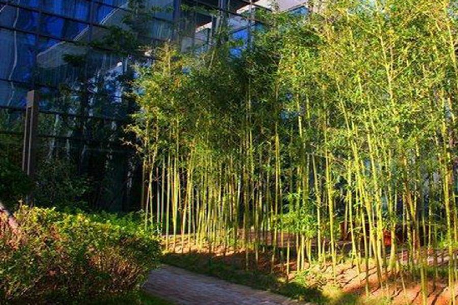 Zhongjian Yanqi Lake View Hotel Pequim Exterior foto